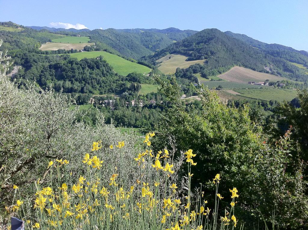 Corte San Ruffillo Country Resort Dovadola Εξωτερικό φωτογραφία