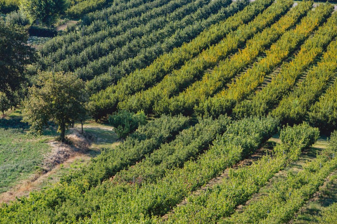 Corte San Ruffillo Country Resort Dovadola Εξωτερικό φωτογραφία