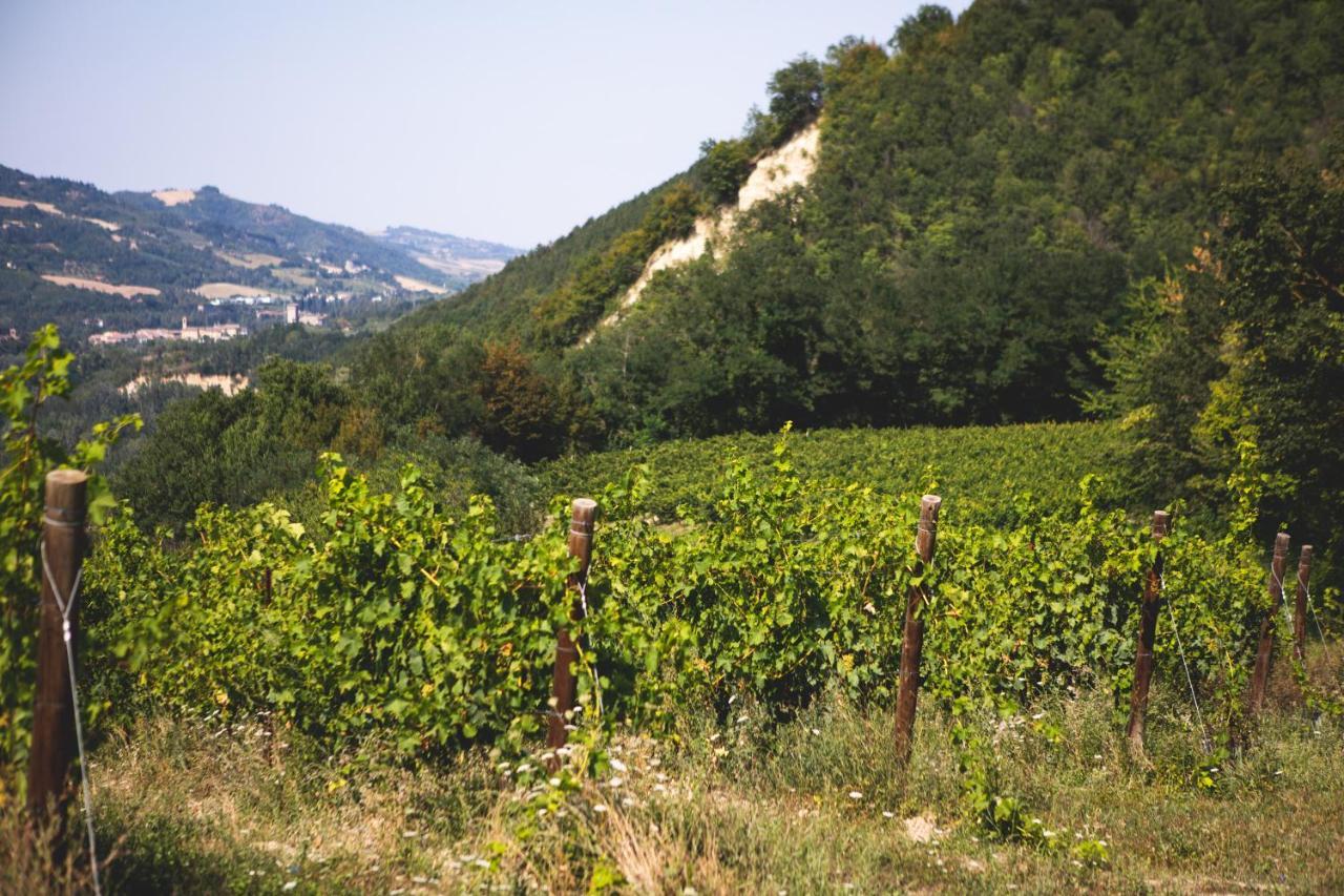 Corte San Ruffillo Country Resort Dovadola Εξωτερικό φωτογραφία